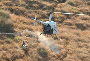 Artemis Outdoors, Inc.